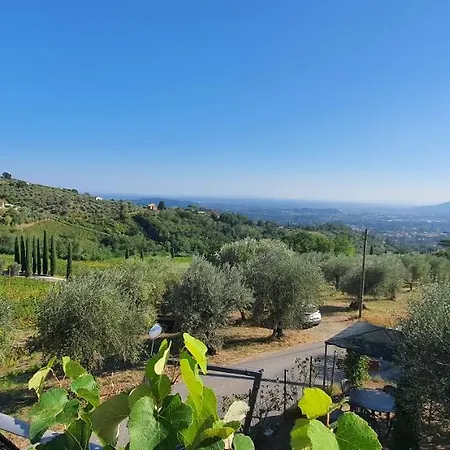 Holiday home Al Vecchio Metato